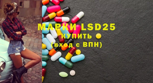 ECSTASY Белокуриха