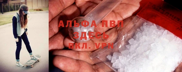 эйфоретик Беломорск