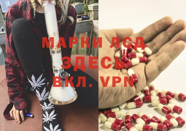 эйфоретик Беломорск