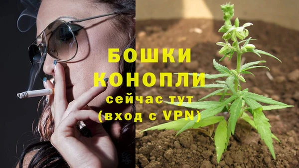 эйфоретик Беломорск