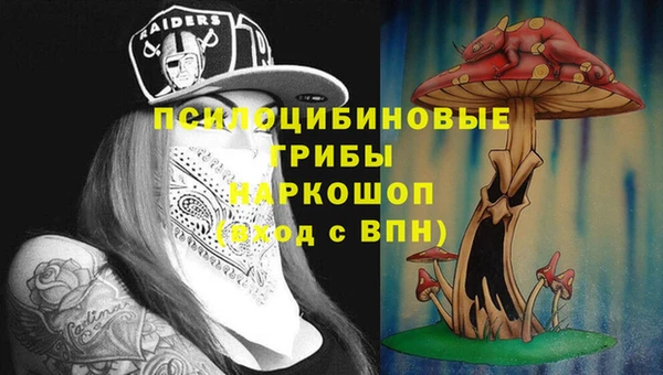 дживик Тавда